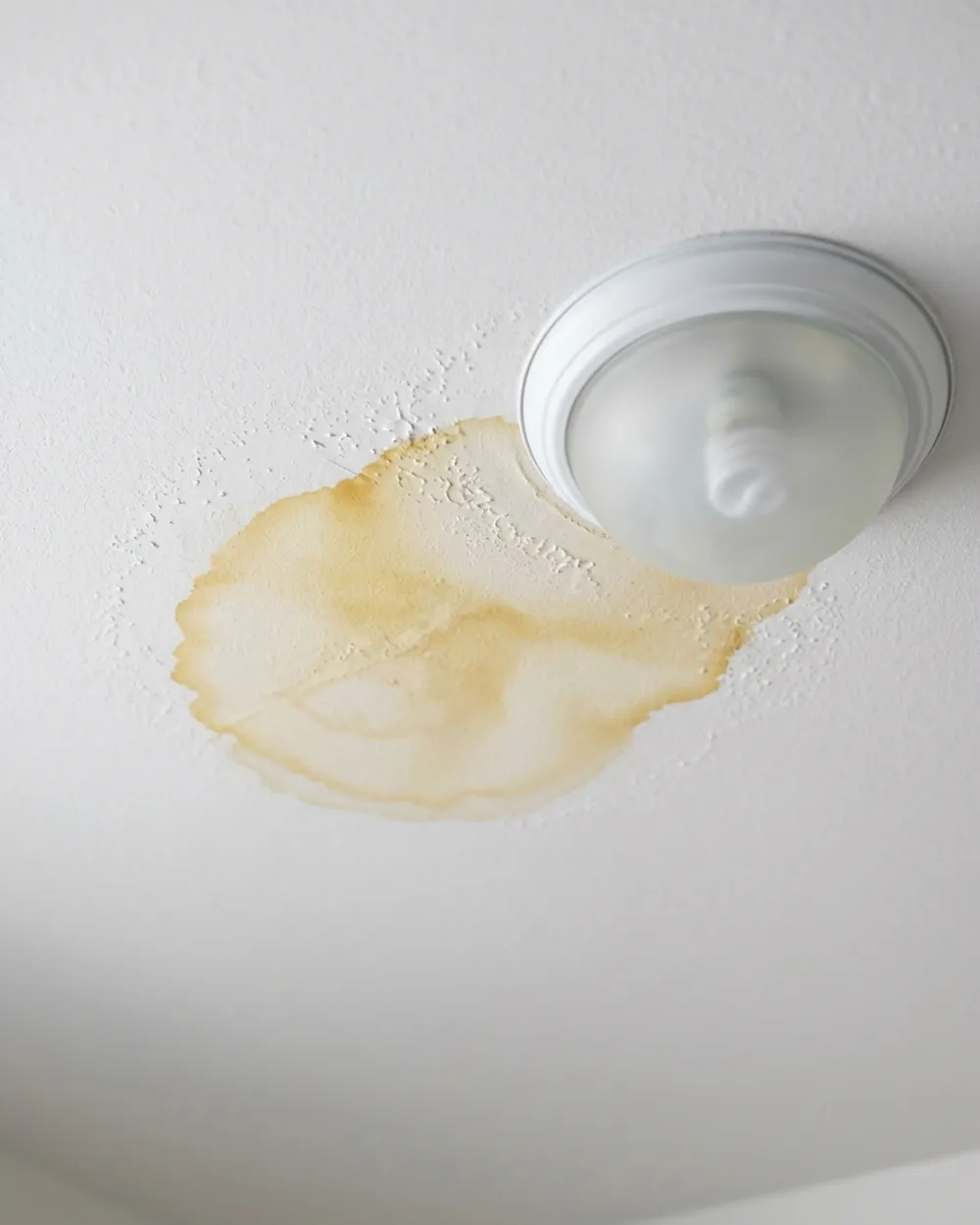 Ceiling water stain from a roof leak